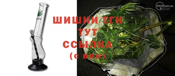 соль ск Тавда