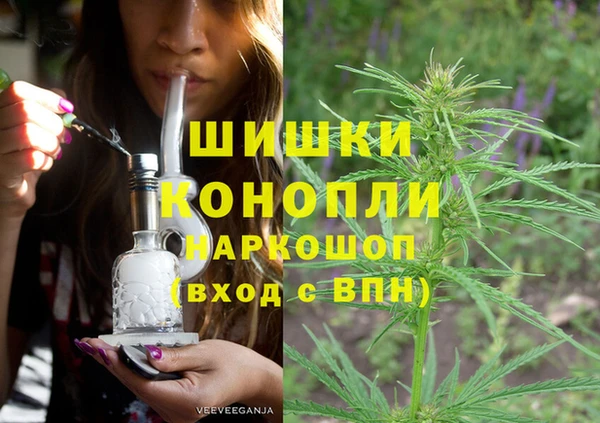 молекула духа Богородск