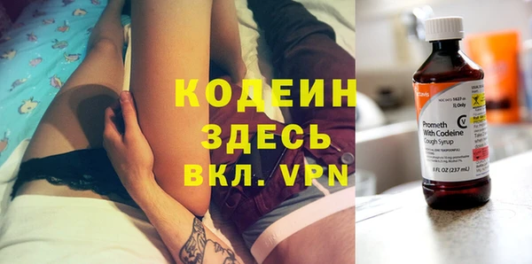 индика Богородицк