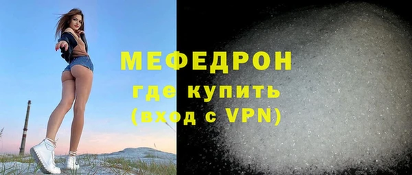 индика Богородицк