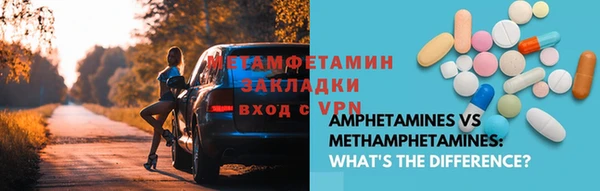 индика Богородицк