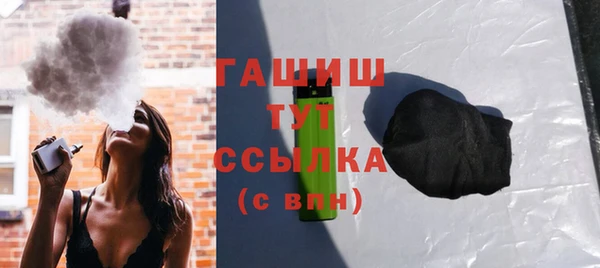 индика Богородицк