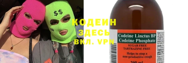 прущий лед Богданович