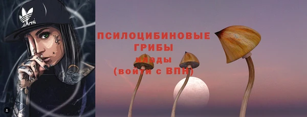 прущий лед Богданович
