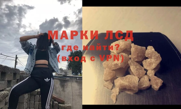 индика Богородицк