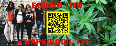 СК Моздок