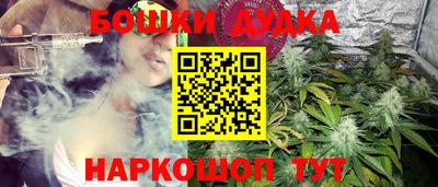 СК Моздок