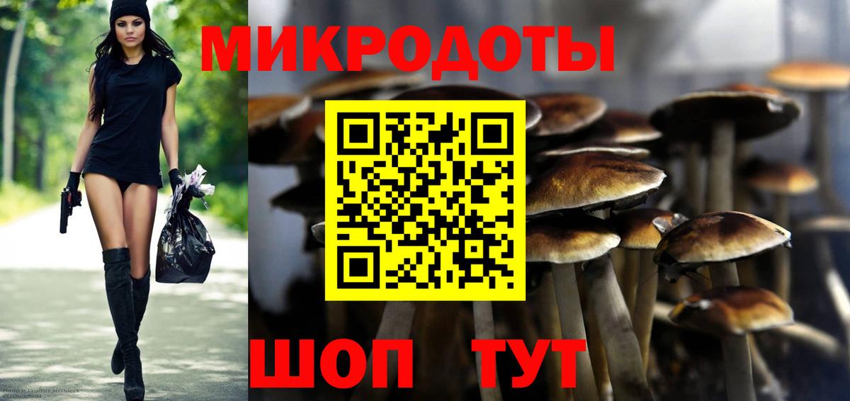 Псилоцибиновые грибы Psilocybine cubensis Верхний Уфалей