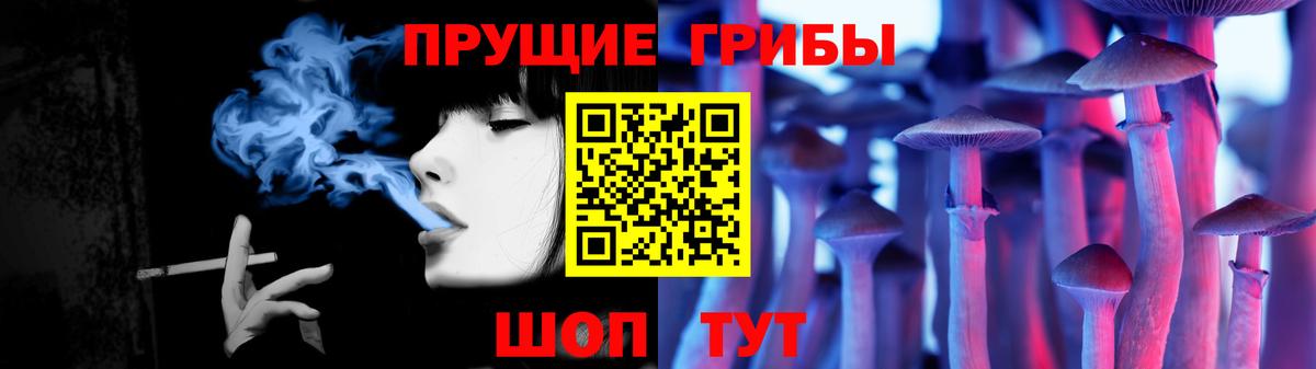 Псилоцибиновые грибы Psilocybe  Вход с VPN  Верхний Уфалей 